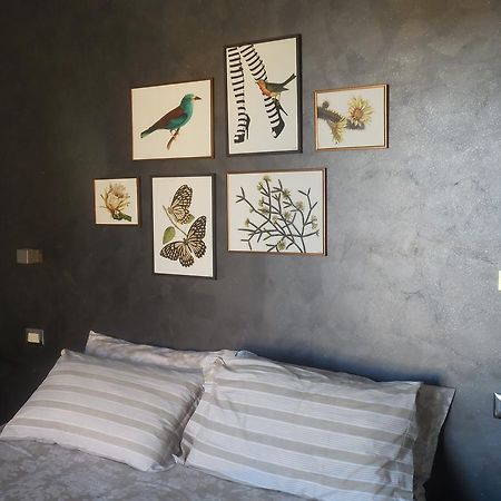 B&B La Casetta Dei Nonni Orvieto Zewnętrze zdjęcie