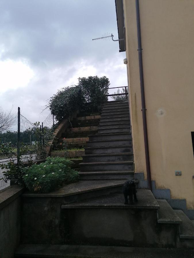 B&B La Casetta Dei Nonni Orvieto Zewnętrze zdjęcie