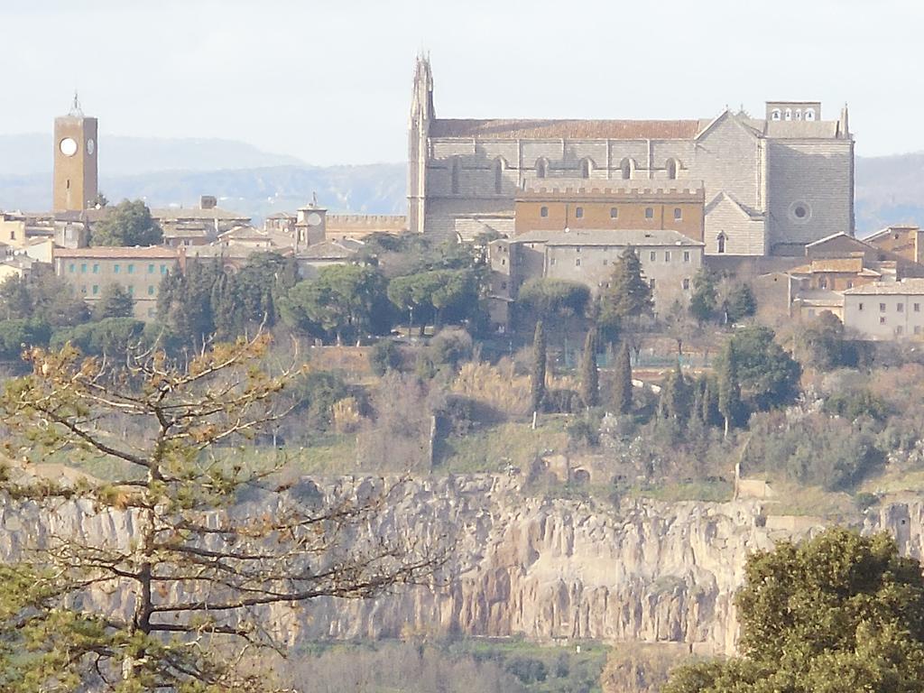 B&B La Casetta Dei Nonni Orvieto Zewnętrze zdjęcie