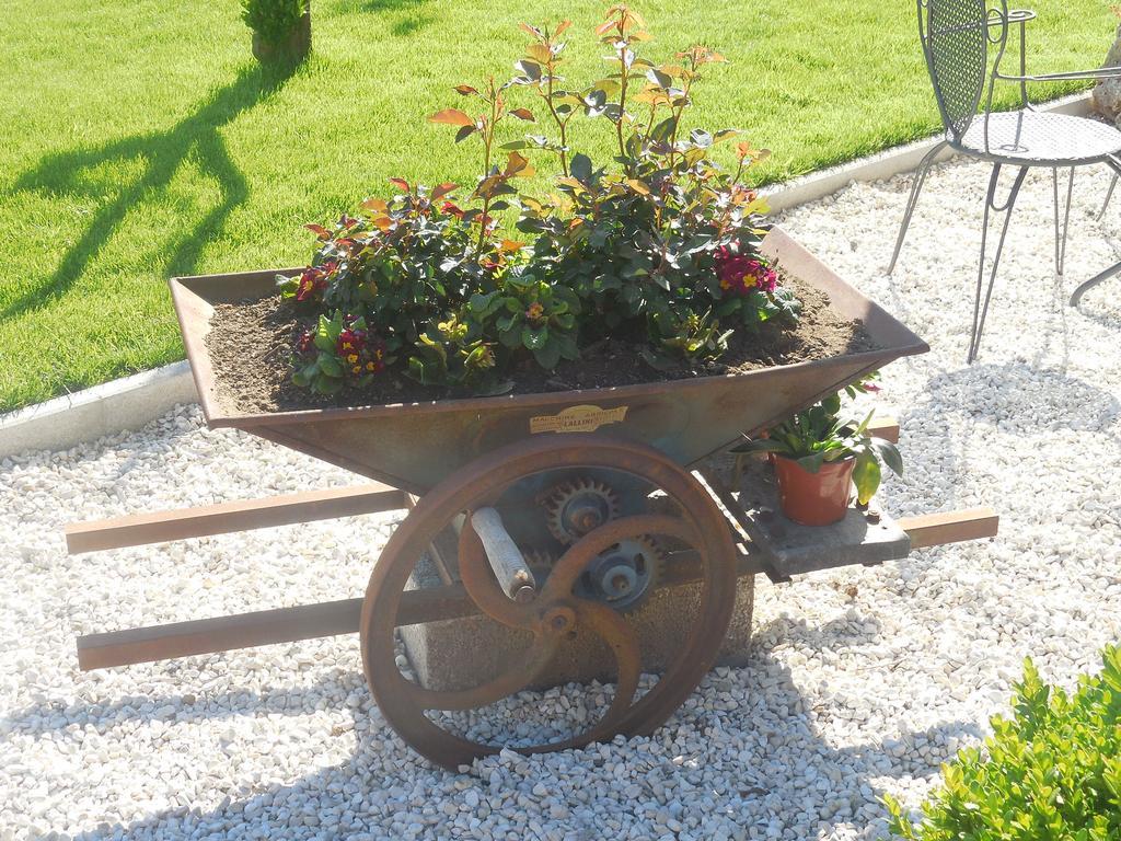B&B La Casetta Dei Nonni Orvieto Zewnętrze zdjęcie