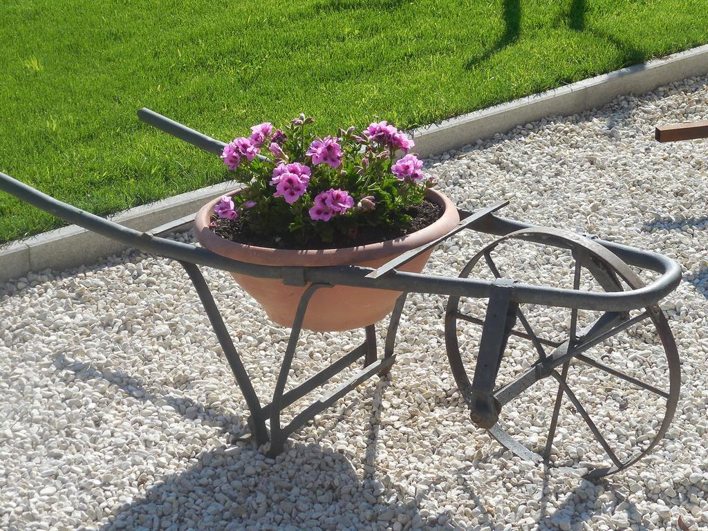 B&B La Casetta Dei Nonni Orvieto Zewnętrze zdjęcie